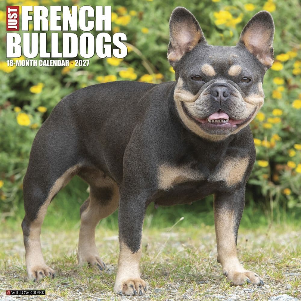 image Just French Bulldogs 2027 Wall Calendar Main Product Image