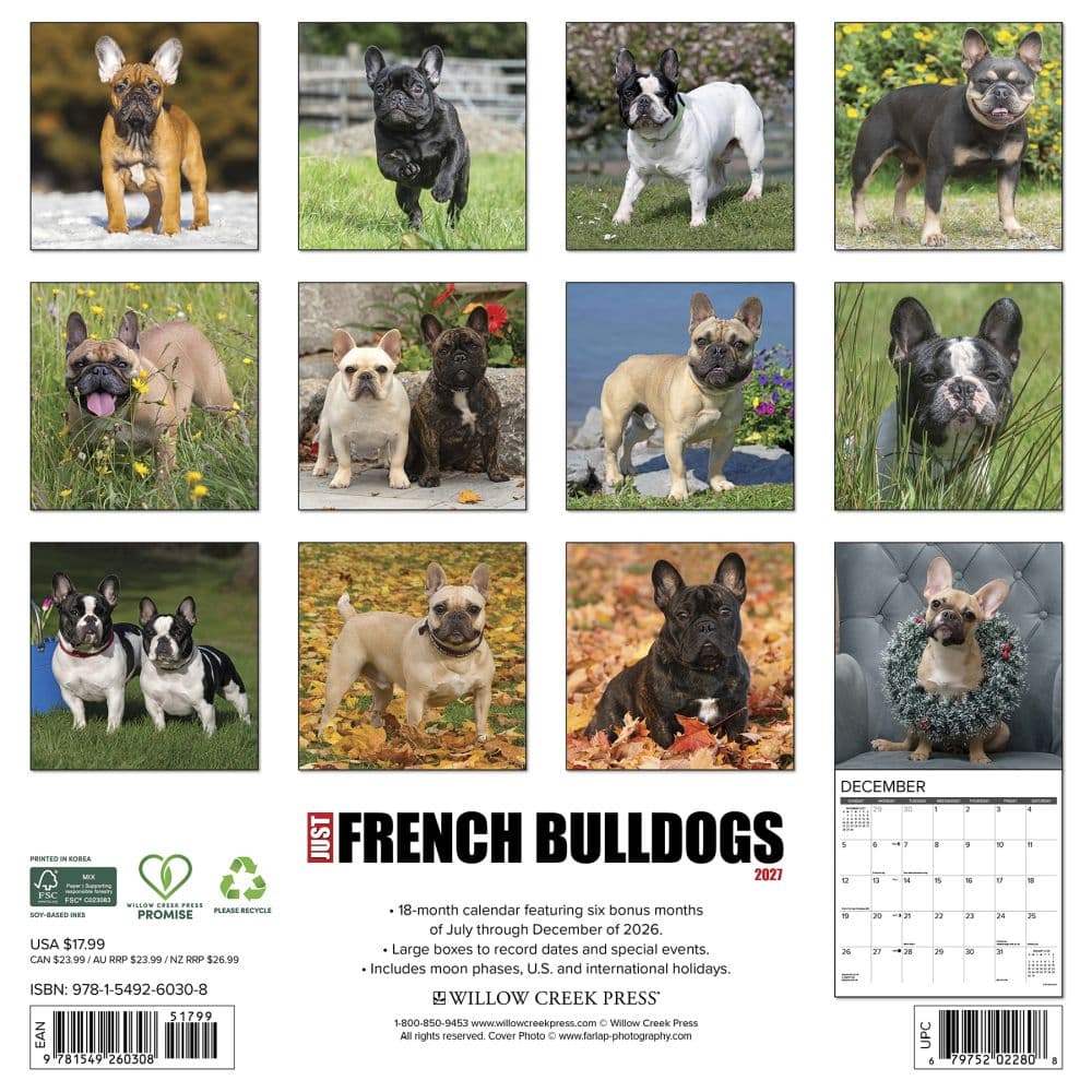 Just French Bulldogs 2027 Wall Calendar First Alternate Image
