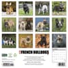 image Just French Bulldogs 2027 Wall Calendar First Alternate Image