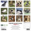image Just French Bulldog Puppies 2027 Wall Calendar First Alternate Image