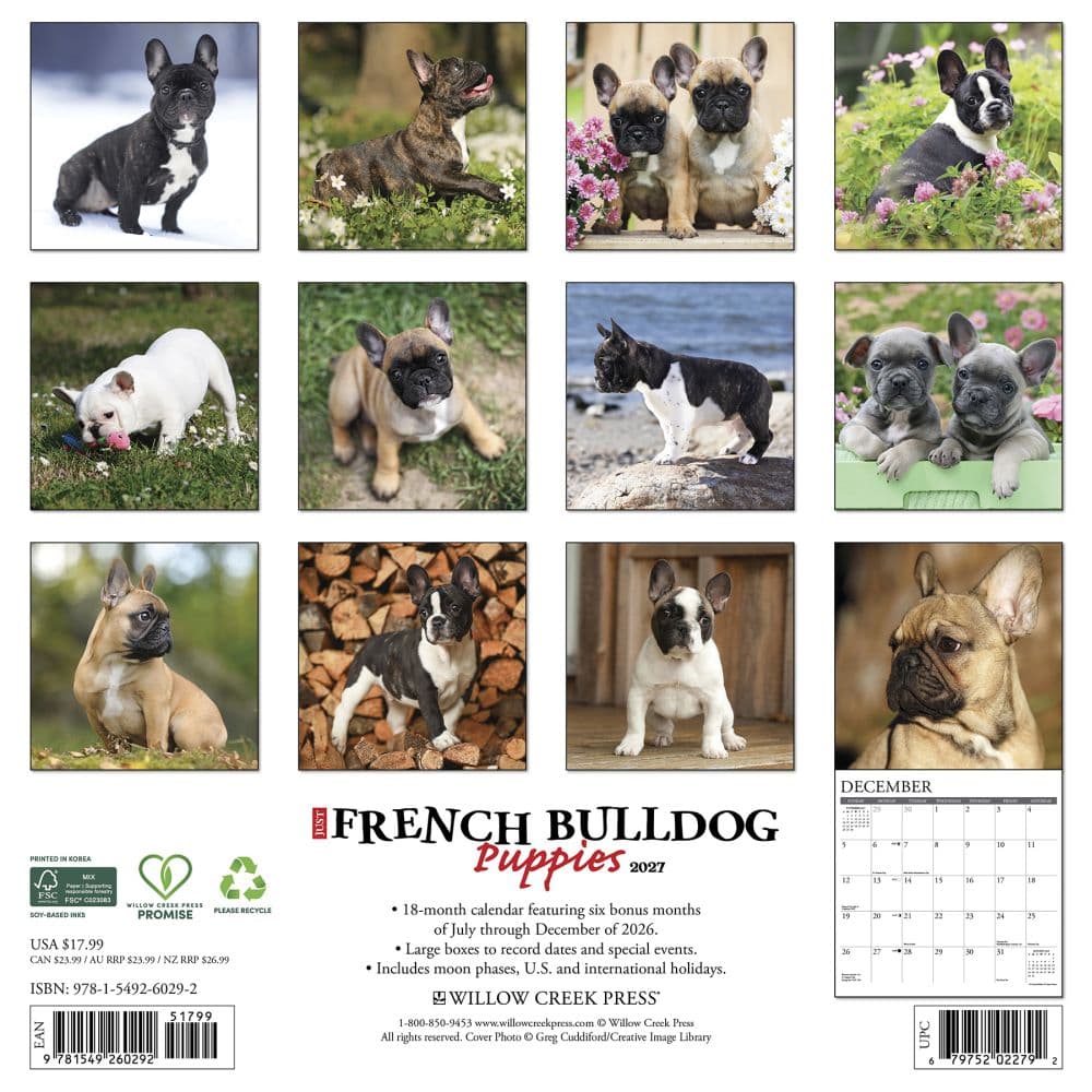 Just French Bulldog Puppies 2027 Wall Calendar First Alternate Image