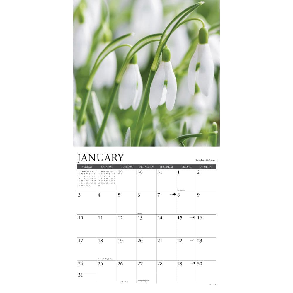 Flowers 2027 Wall Calendar Second Alternate Image