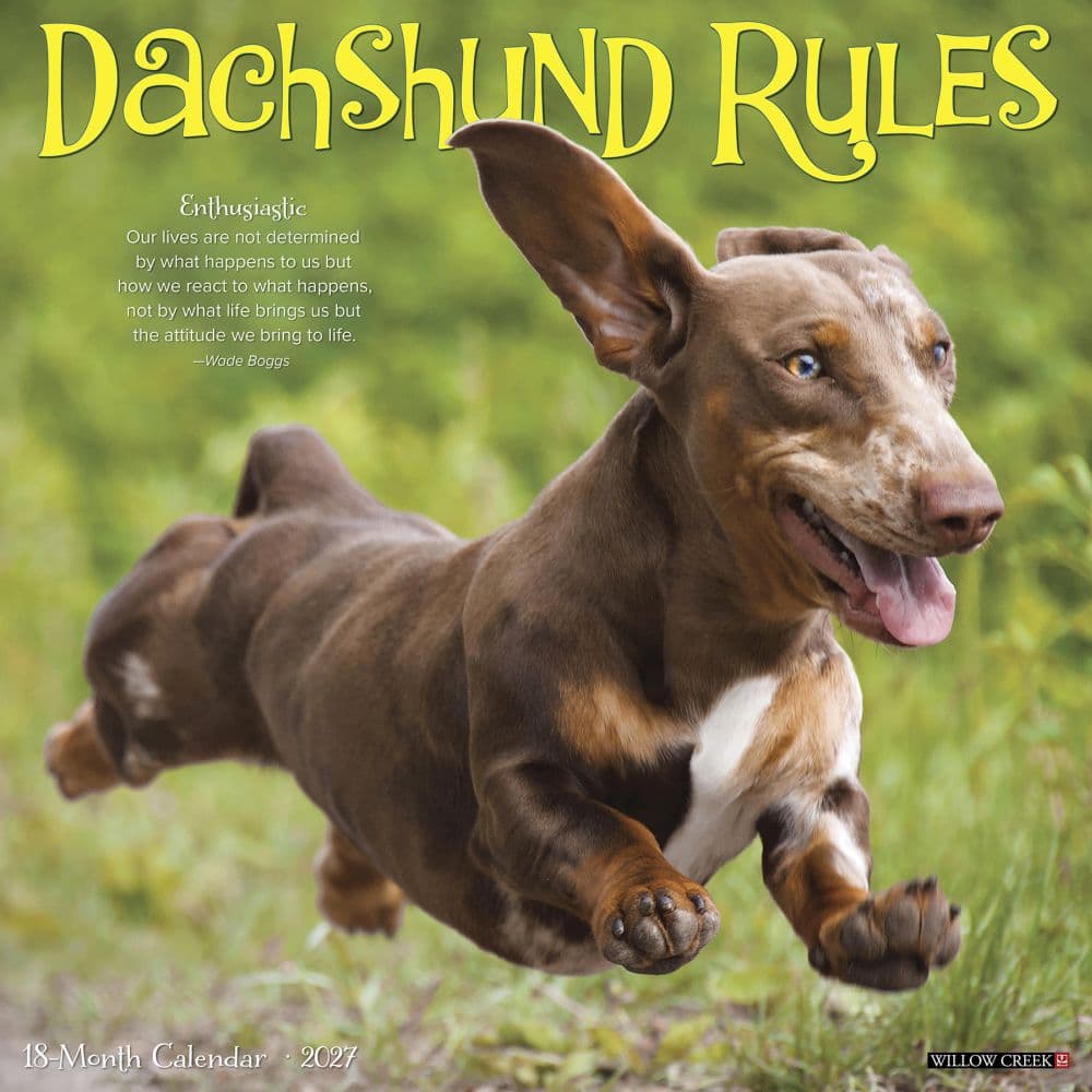 Dachshund Rules 2027 Wall Calendar Main Product Image