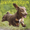 image Dachshund Rules 2027 Wall Calendar Main Product Image