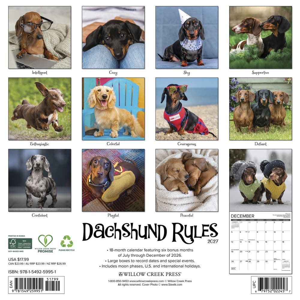 Dachshund Rules 2027 Wall Calendar First Alternate Image