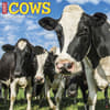 image Just Cows 2027 Wall Calendar Main Product Image