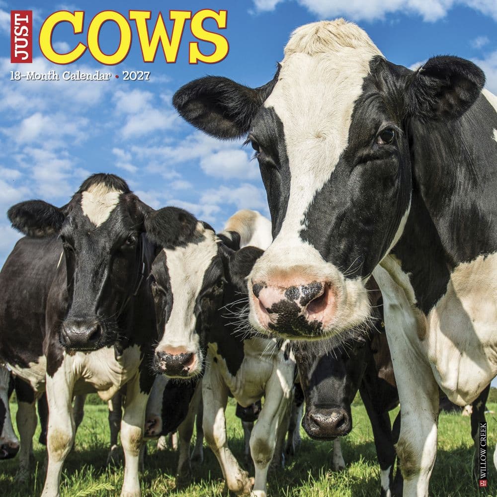 image Just Cows 2027 Wall Calendar Main Product Image