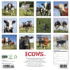 image Just Cows 2027 Wall Calendar First Alternate Image