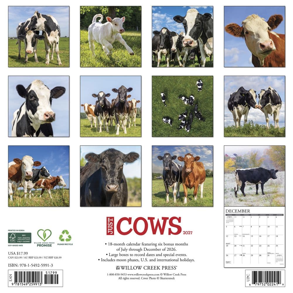 Just Cows 2027 Wall Calendar First Alternate Image
