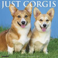 image Just Corgis 2027 Wall Calendar Main Product Image