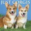 image Just Corgis 2027 Wall Calendar Main Product Image