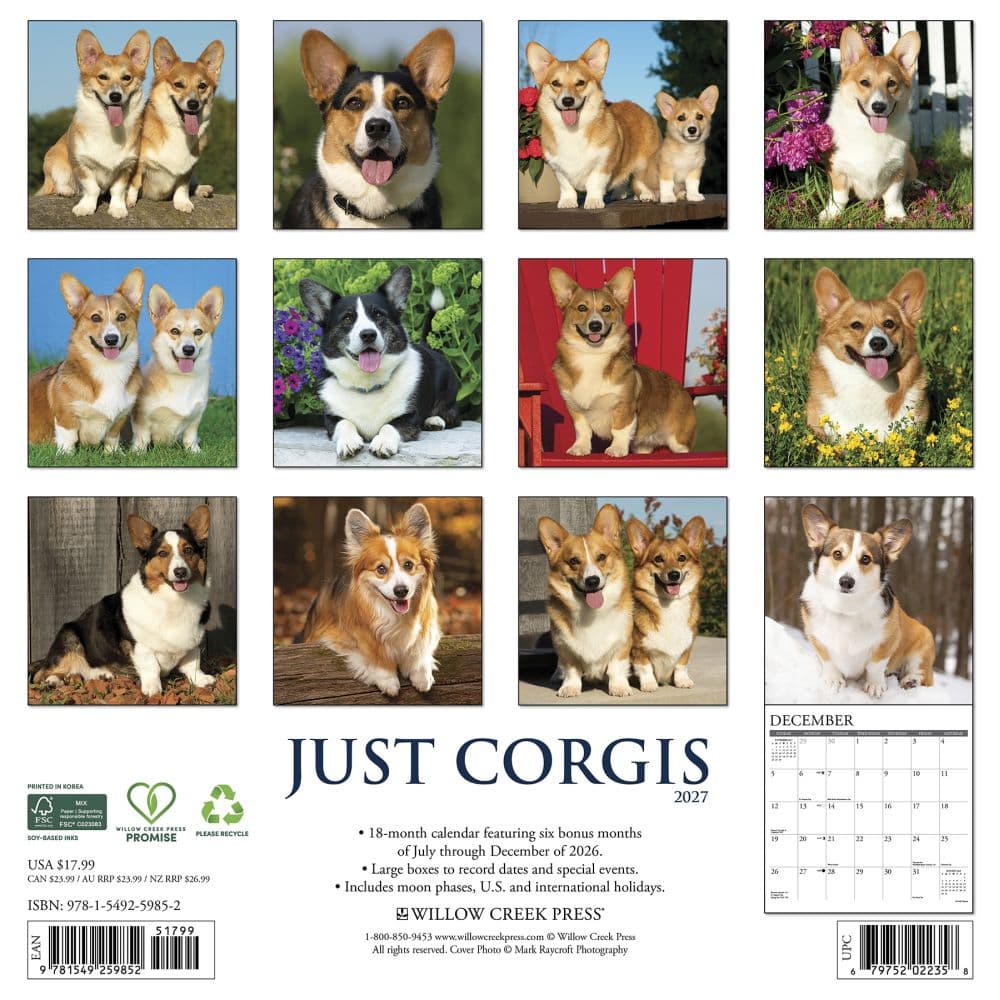 Just Corgis 2027 Wall Calendar First Alternate Image