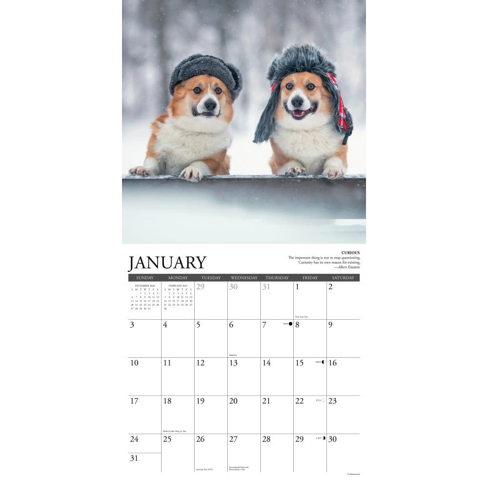 Corgi Rules 2027 Wall Calendar Second Alternate Image