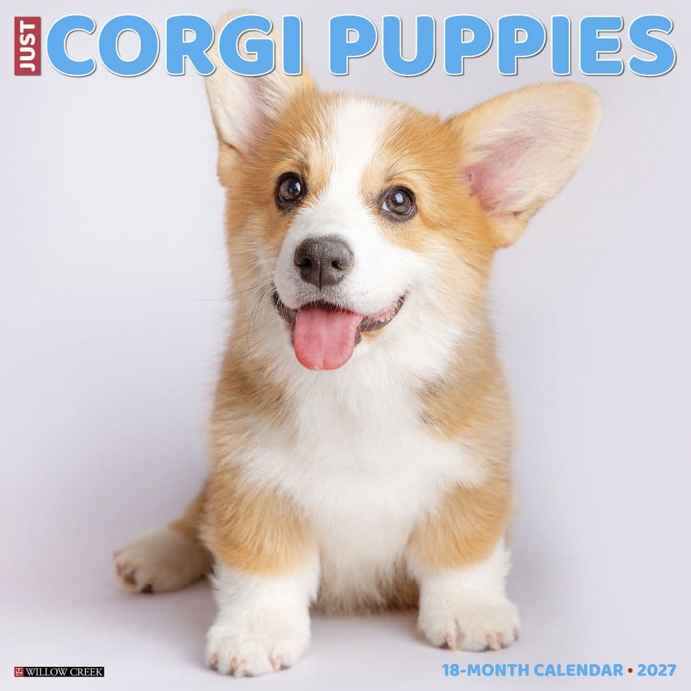 Just Corgi Puppies 2027 Wall Calendar Main Product Image