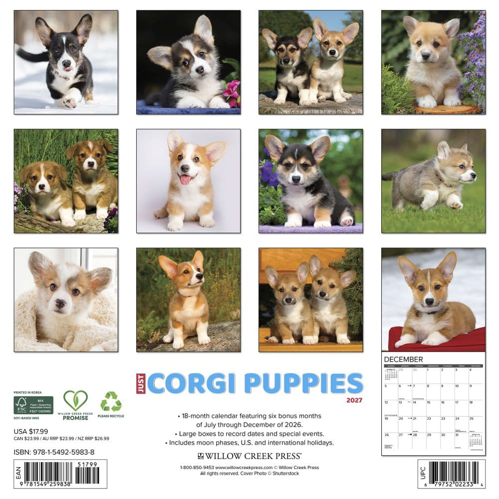 Just Corgi Puppies 2027 Wall Calendar First Alternate Image
