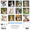 image Just Corgi Puppies 2027 Wall Calendar First Alternate Image