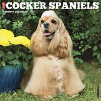 image Just Cocker Spaniels 2027 Wall Calendar Main Product Image
