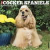 image Just Cocker Spaniels 2027 Wall Calendar Main Product Image