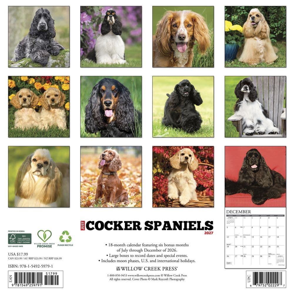 Just Cocker Spaniels 2027 Wall Calendar First Alternate Image