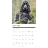 image Just Cocker Spaniels 2027 Wall Calendar Second Alternate Image