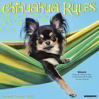 image Chihuahua Rules 2027 Wall Calendar Main Product Image
