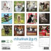 image Chihuahua Rules 2027 Wall Calendar First Alternate Image