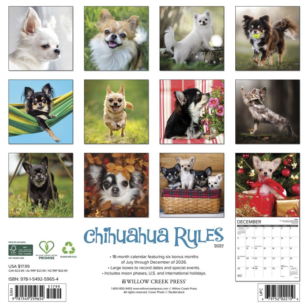 Chihuahua Rules 2027 Wall Calendar First Alternate Image