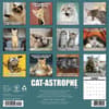 image Cat Astrophe 2027 Wall Calendar First Alternate Image