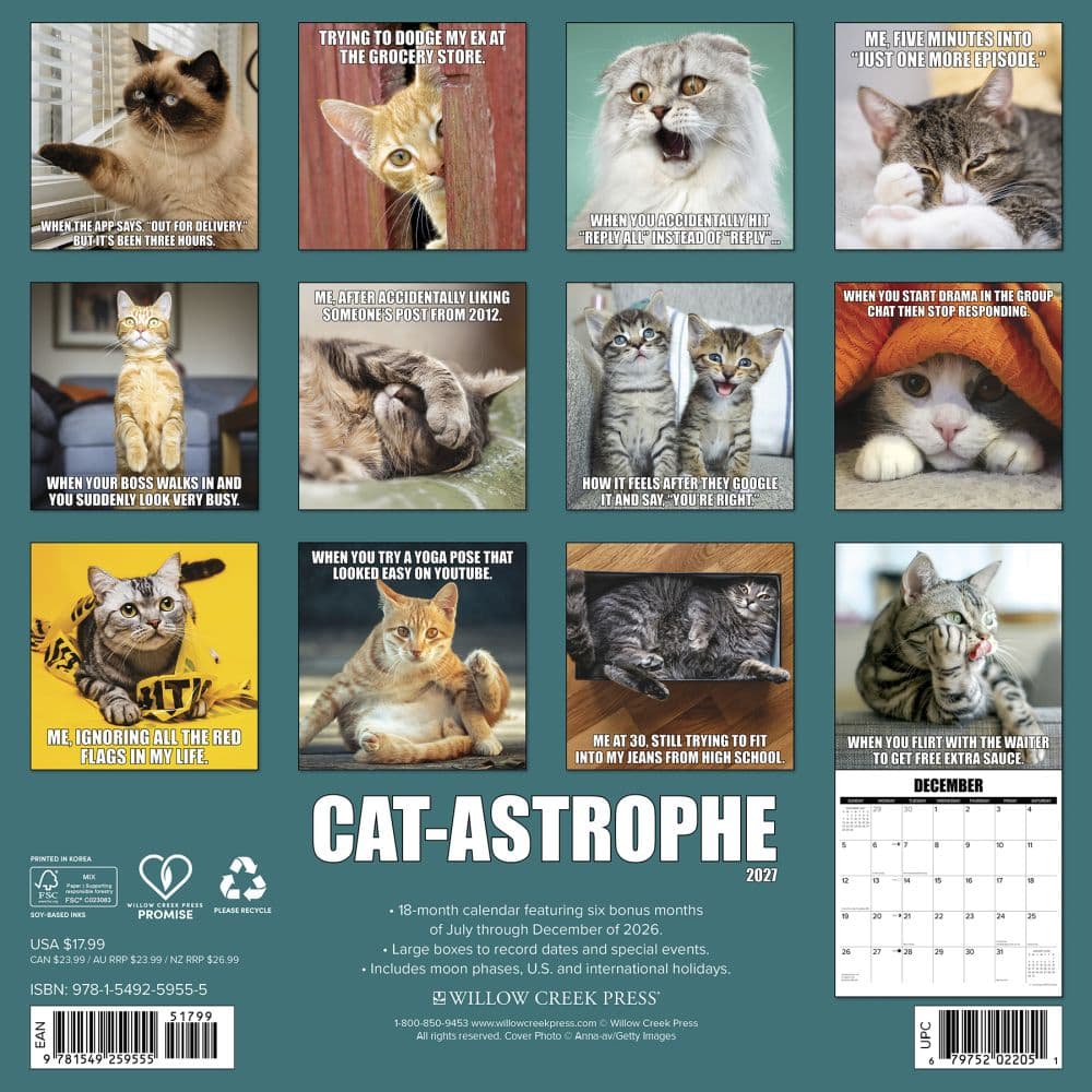 Cat Astrophe 2027 Wall Calendar First Alternate Image
