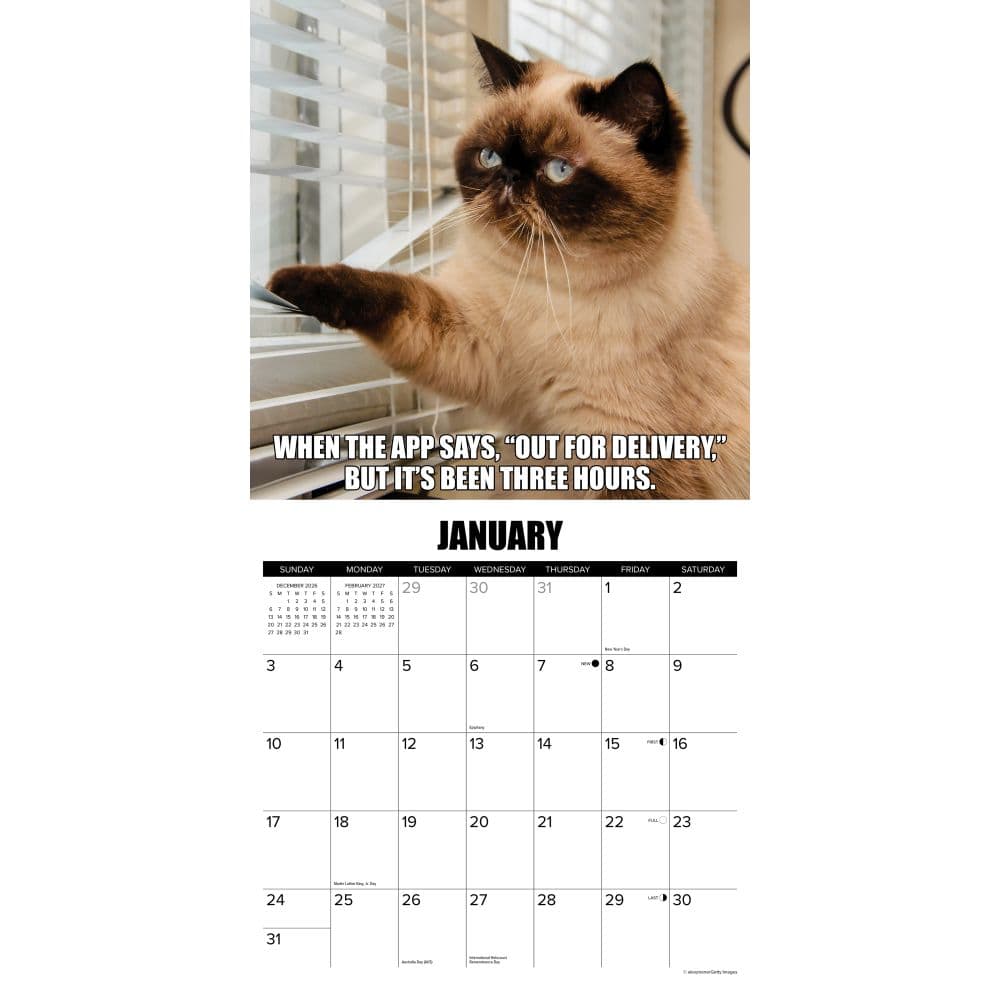 Cat Astrophe 2027 Wall Calendar Second Alternate Image