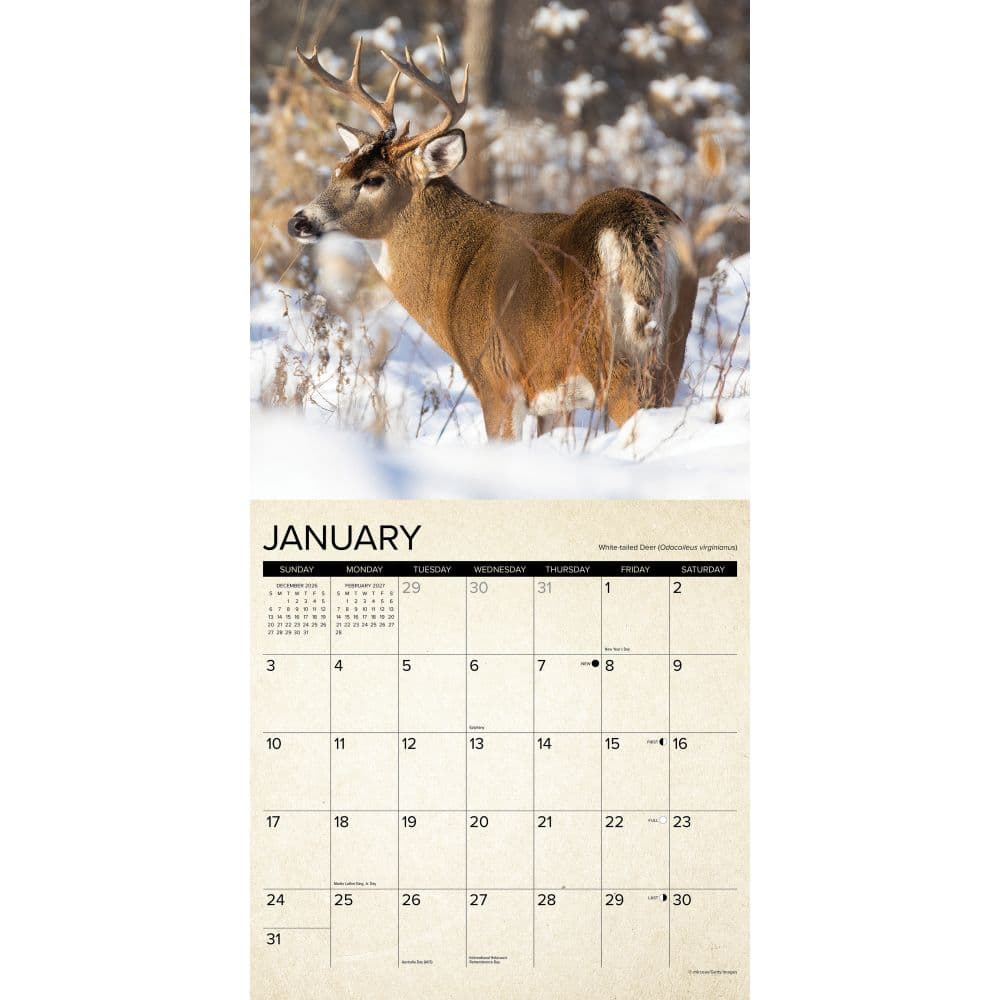 Canadian Fish and Wild Game 2027 Wall Calendar Second Alternate Image