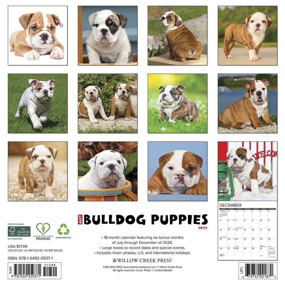Just Bulldog Puppies 2027 Wall Calendar First Alternate Image