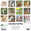 image Just Bulldog Puppies 2027 Wall Calendar First Alternate Image