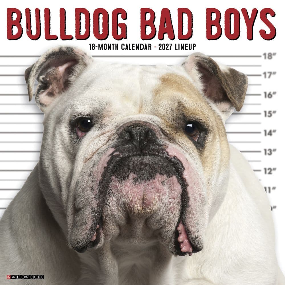 Bulldog Bad Boys 2027 Wall Calendar Main Product Image