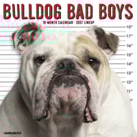 image Bulldog Bad Boys 2027 Wall Calendar Main Product Image
