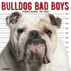 image Bulldog Bad Boys 2027 Wall Calendar Main Product Image