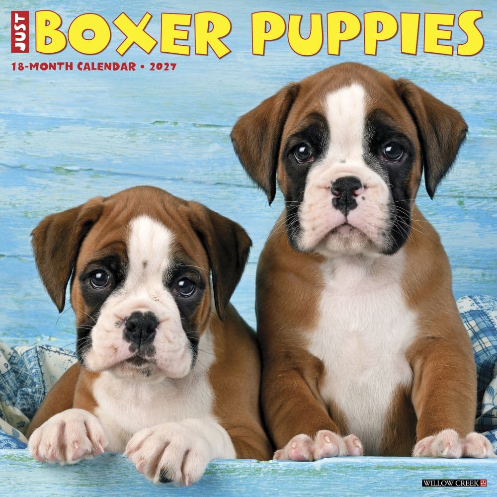 Just Boxer Puppies 2027 Wall Calendar Main Product Image