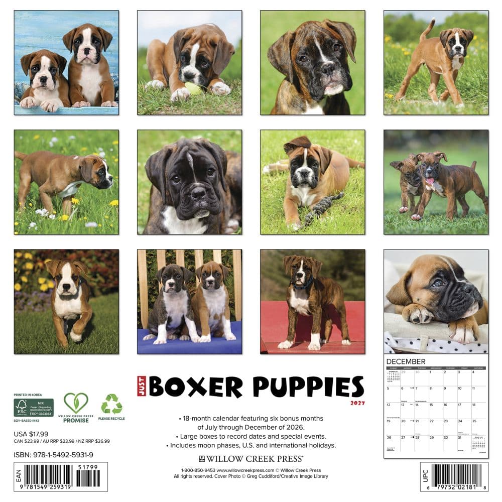 Just Boxer Puppies 2027 Wall Calendar First Alternate Image
