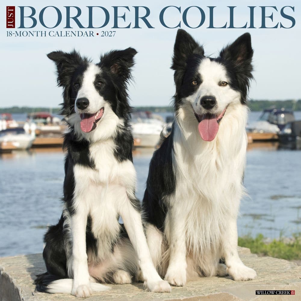 image Just Border Collies 2027 Wall Calendar Main Product Image