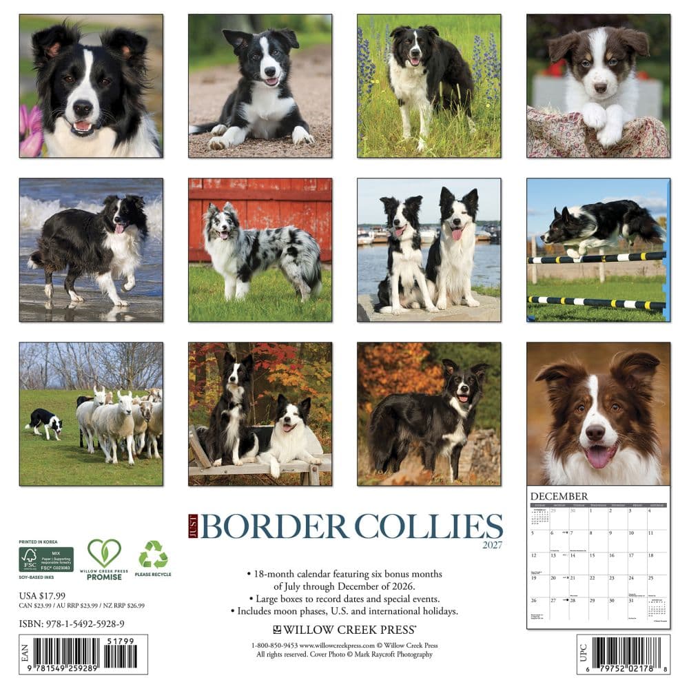 Just Border Collies 2027 Wall Calendar First Alternate Image