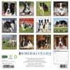 image Just Border Collies 2027 Wall Calendar First Alternate Image