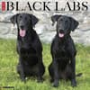 image Just Black Labs 2027 Wall Calendar Main Product Image