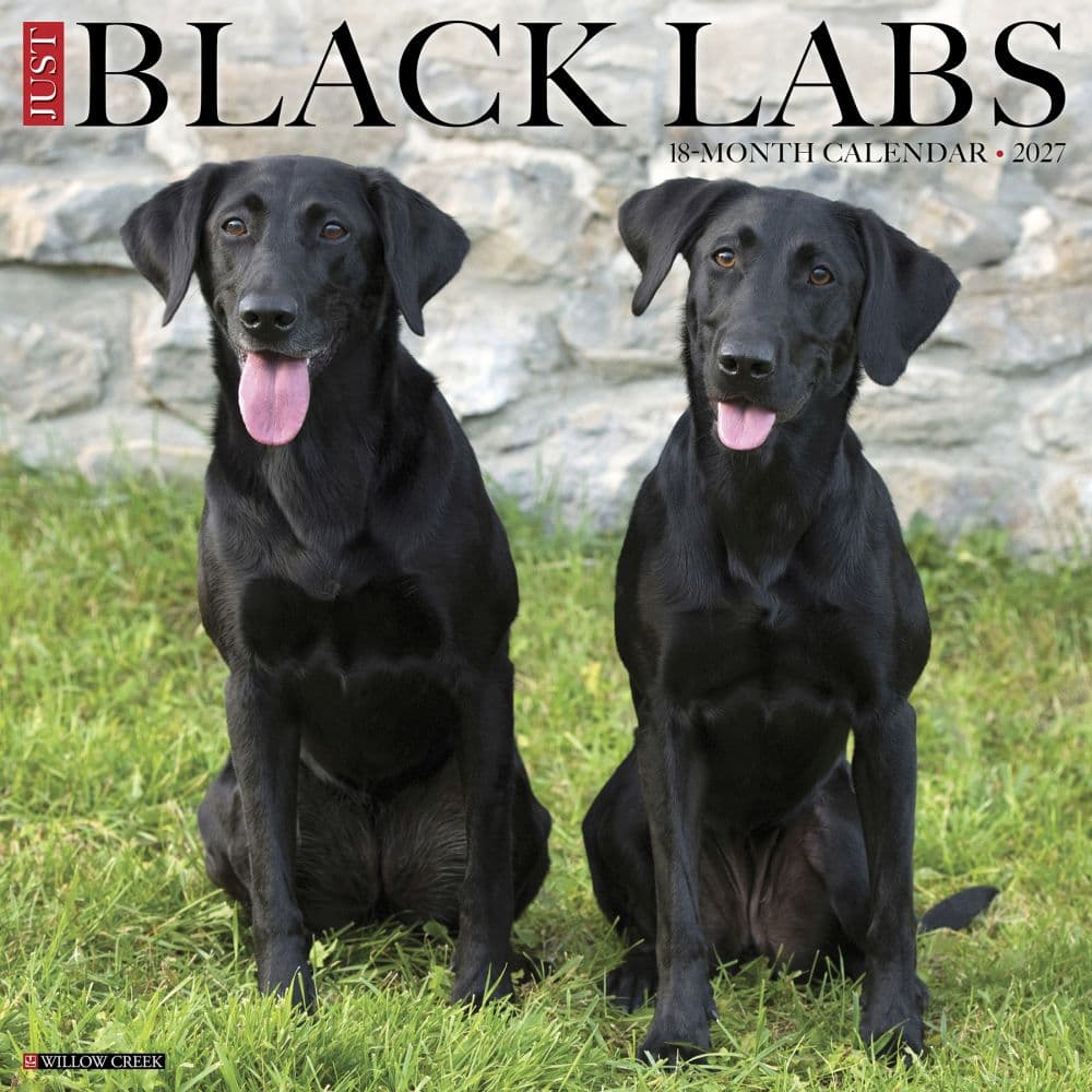 image Just Black Labs 2027 Wall Calendar Main Product Image