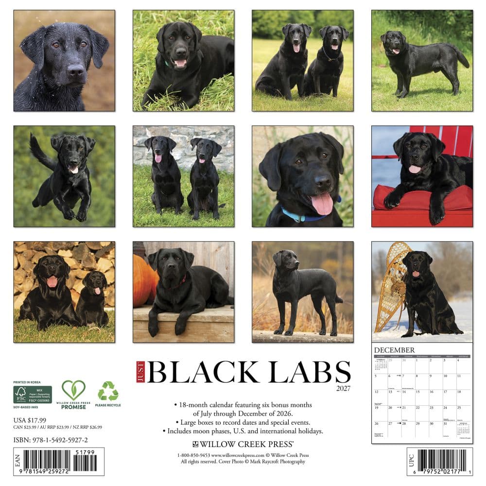 Just Black Labs 2027 Wall Calendar First Alternate Image