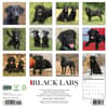 image Just Black Labs 2027 Wall Calendar First Alternate Image