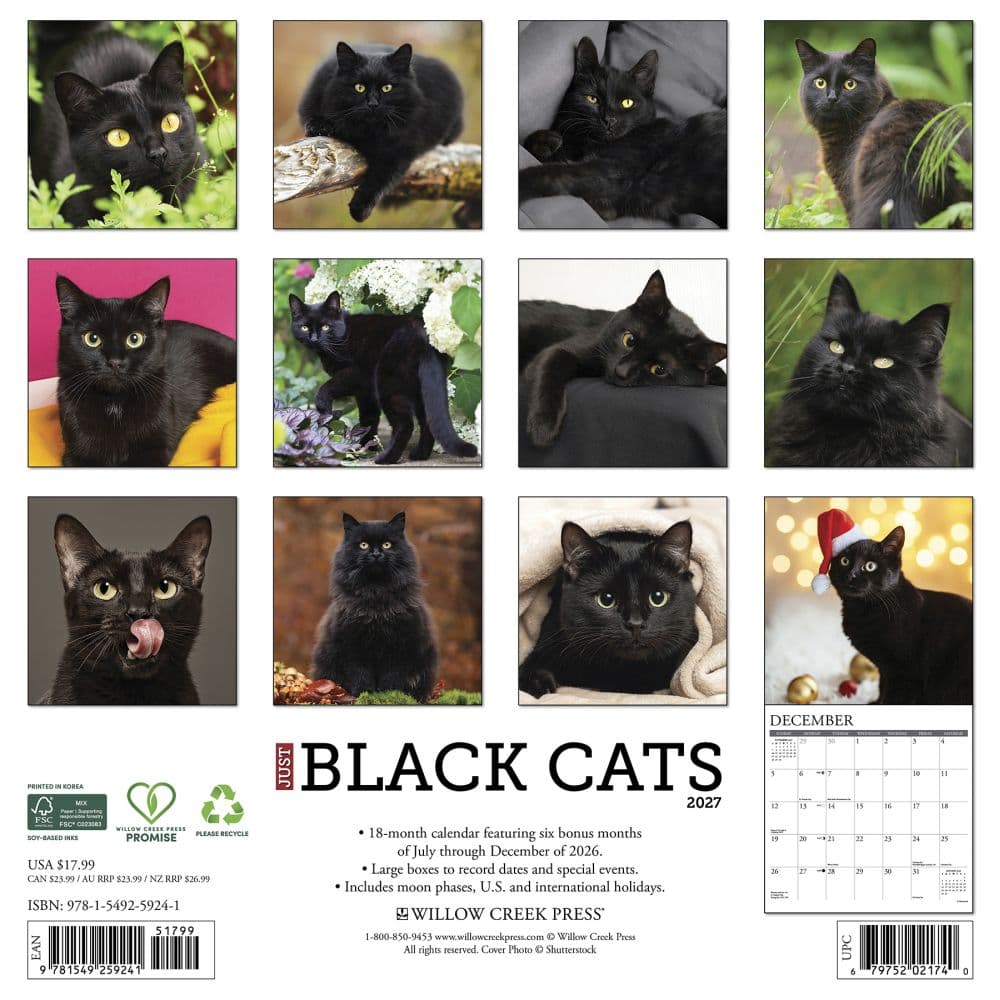 Black Cats 2027 Wall Calendar - Calendars.com