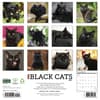 image Black Cats 2027 Wall Calendar First Alternate Image