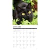 image Black Cats 2027 Wall Calendar Second Alternate Image