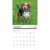 image Beagle Rules 2027 Wall Calendar Second Alternate Image