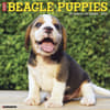 image Just Beagle Puppies 2027 Wall Calendar Main Product Image